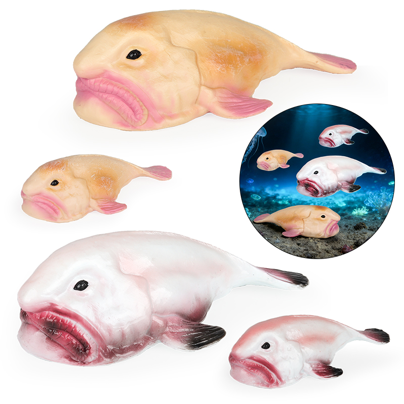 Kids Education In Australia - Oenux Australia Deep-Sea Fish Blobfish Psychrolutes